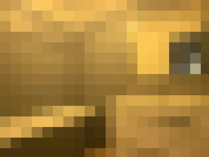  / #6