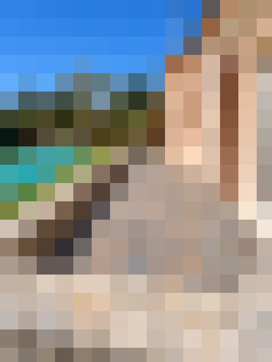  / #6