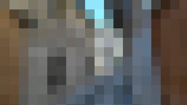  / #15