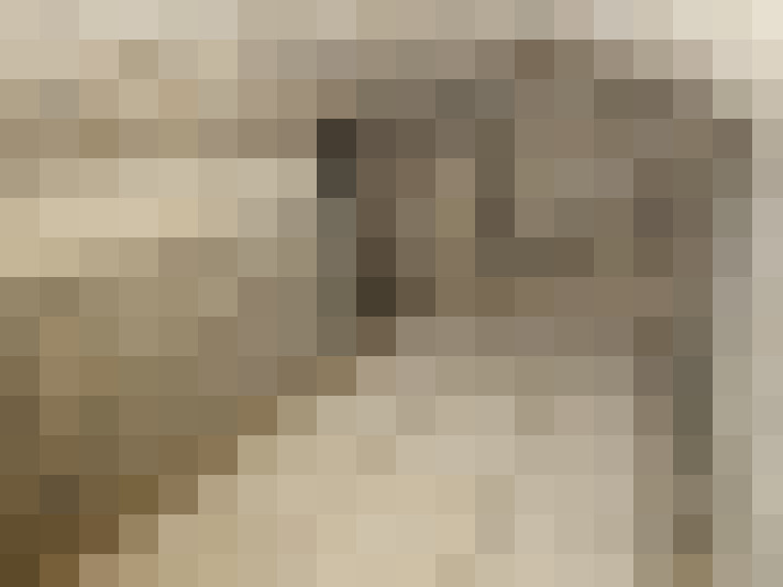  / #21