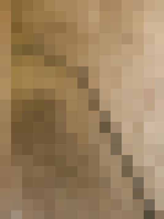  / #19