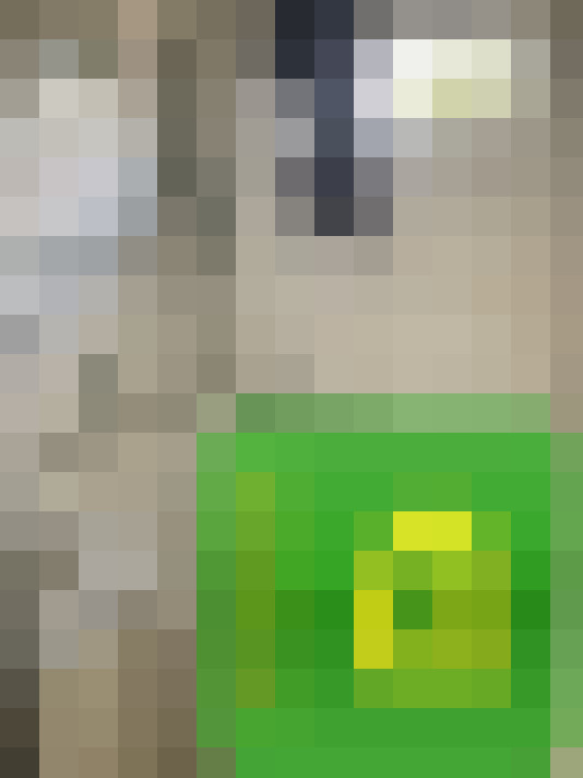  / #11
