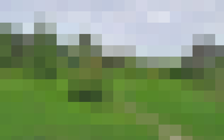  / #17