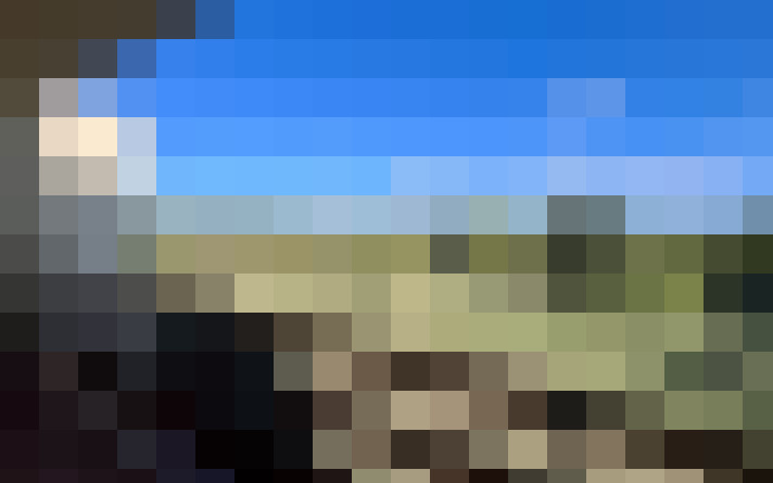  / #15