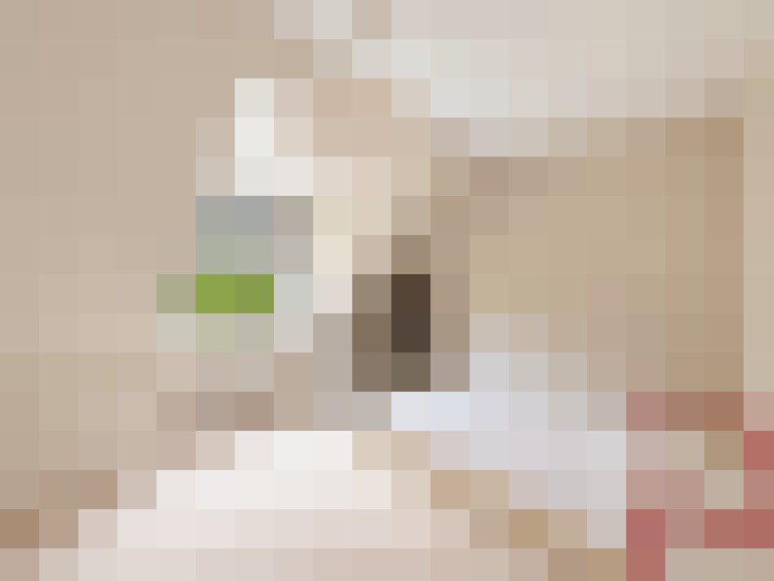  / #16
