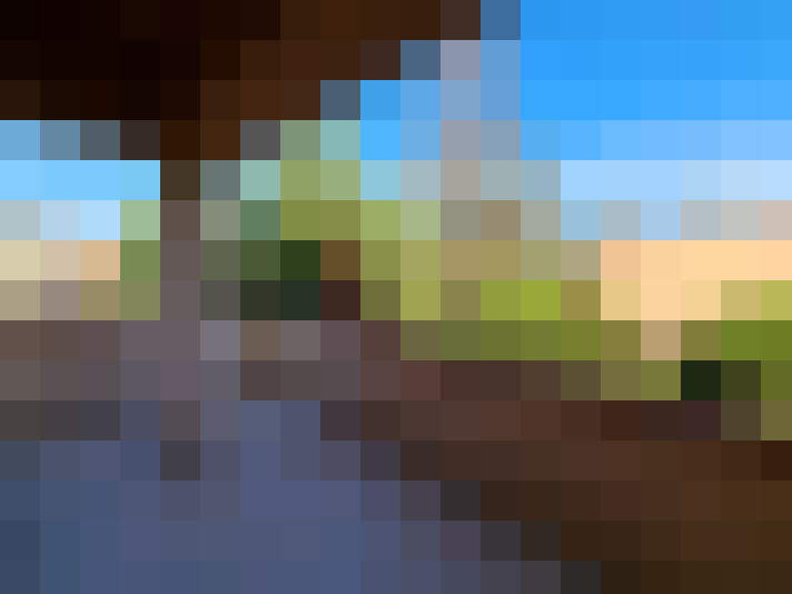  / #7