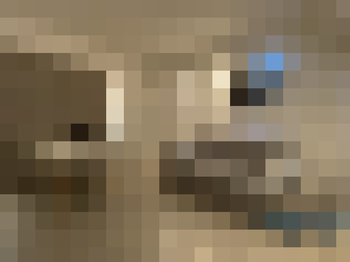  / #2