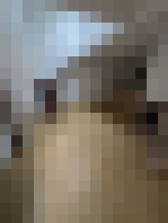  / #7