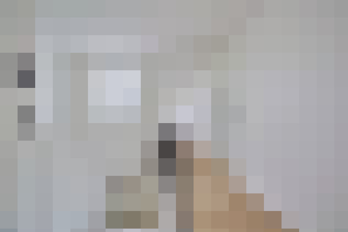  / #12