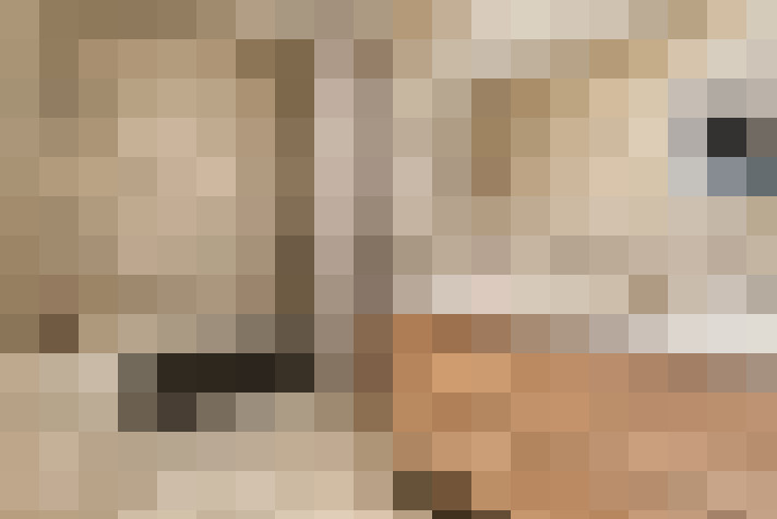  / #11
