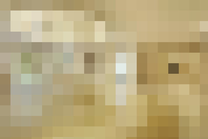  / #17