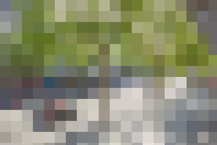  / #15