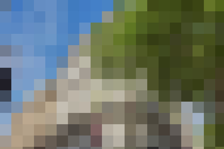  / #13