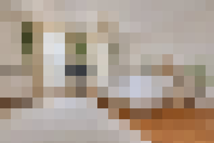  / #8