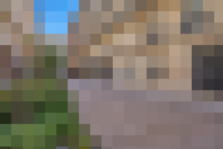  / #20