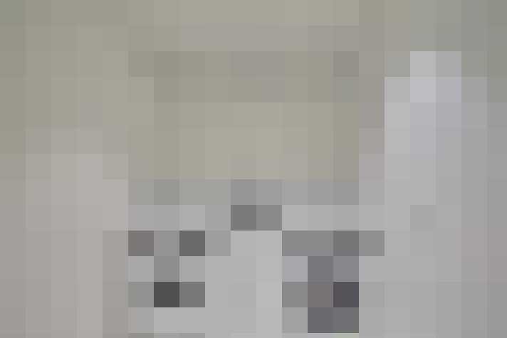  / #22