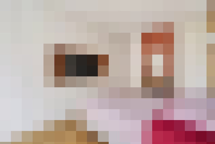  / #13