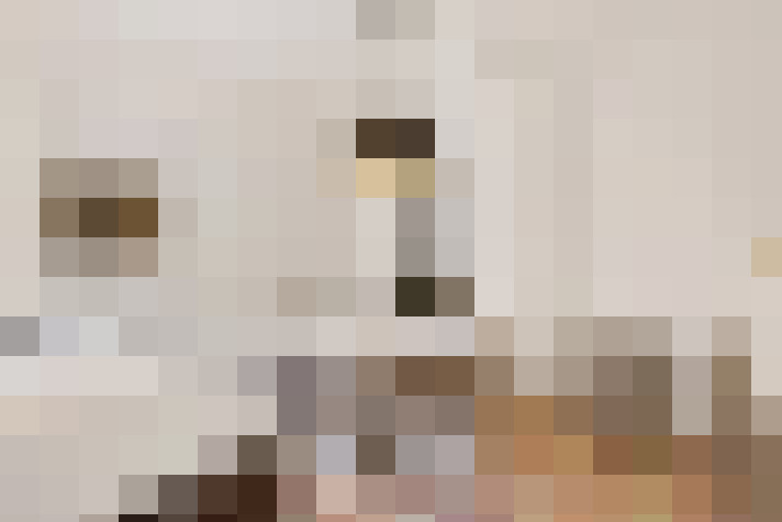  / #7