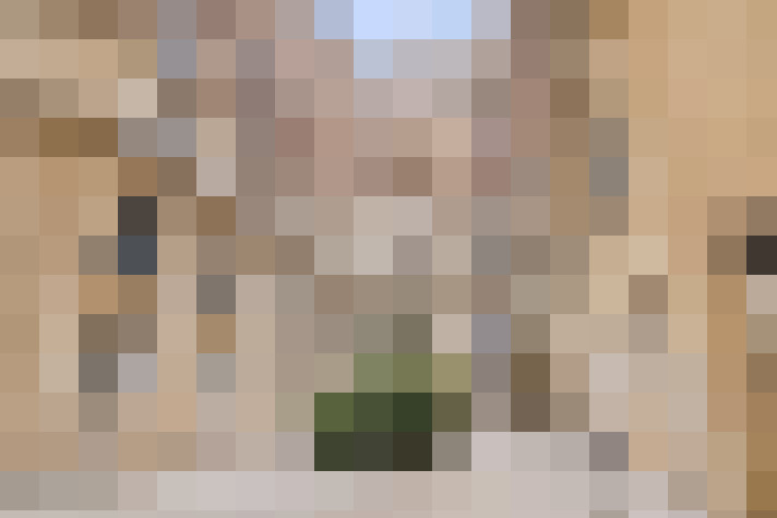  / #21