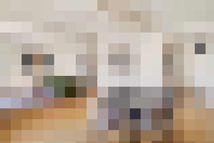  / #17