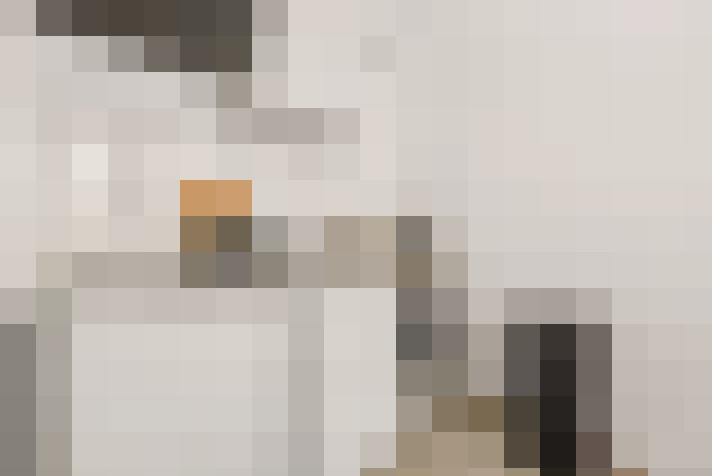  / #11