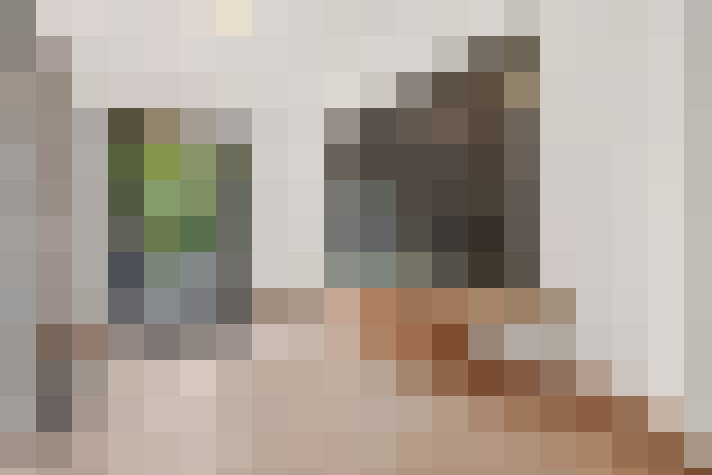  / #24