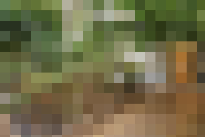  / #13