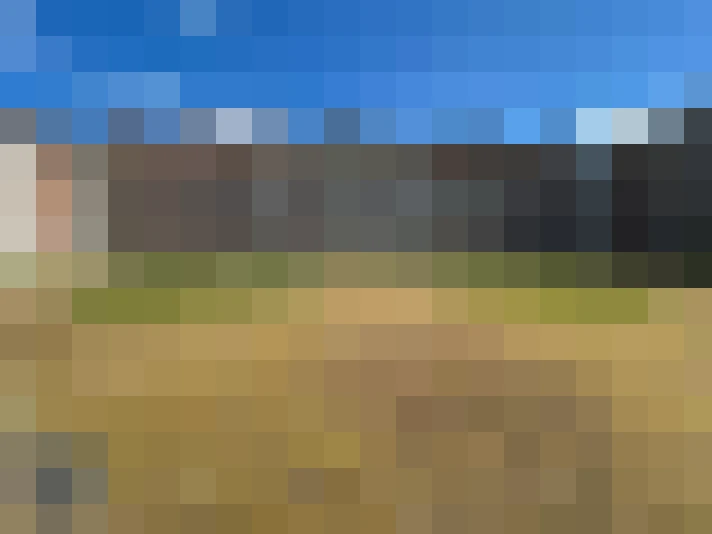  / #16