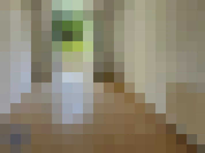  / #14