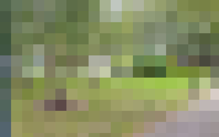  / #17