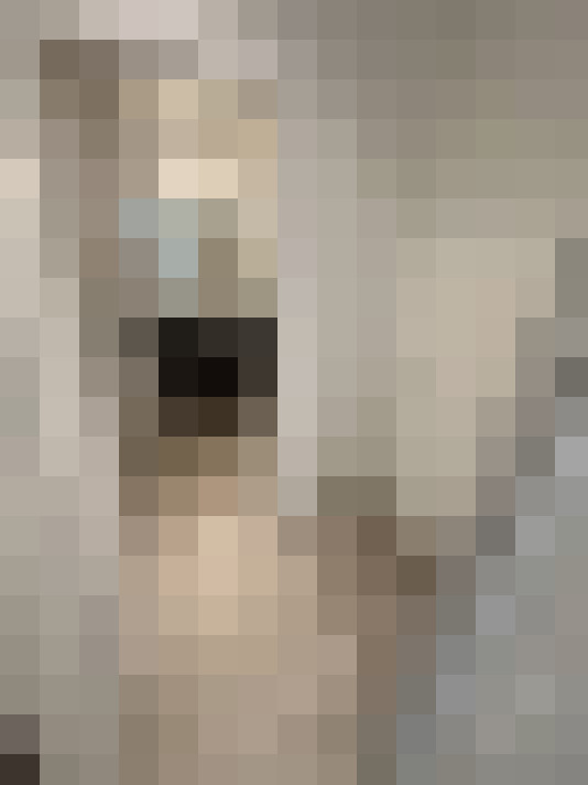  / #11