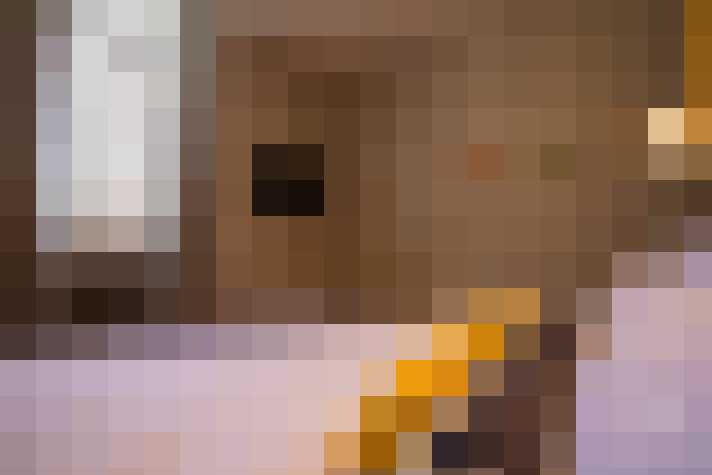  / #8