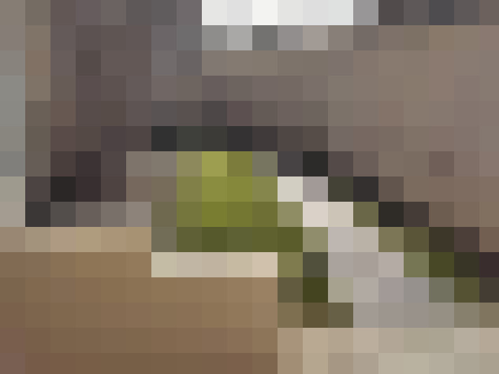  / #12