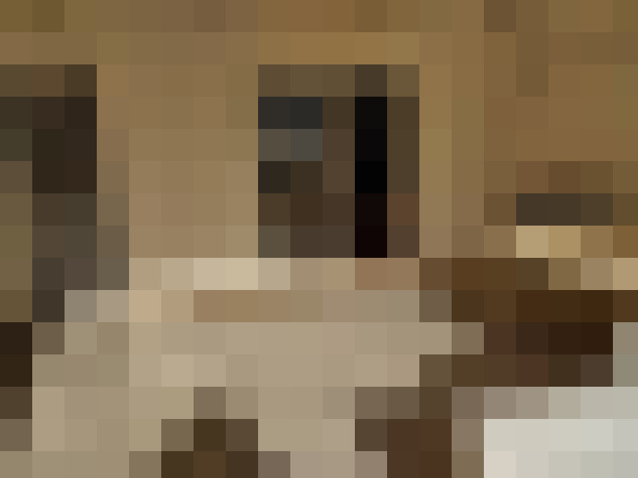  / #11