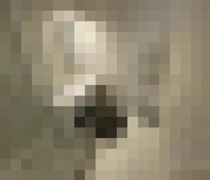  / #8