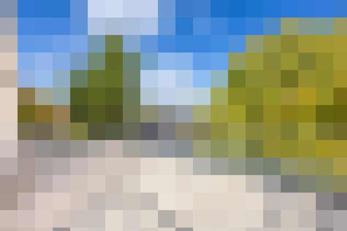  / #14