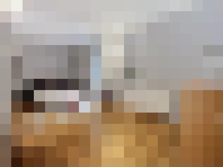  / #7