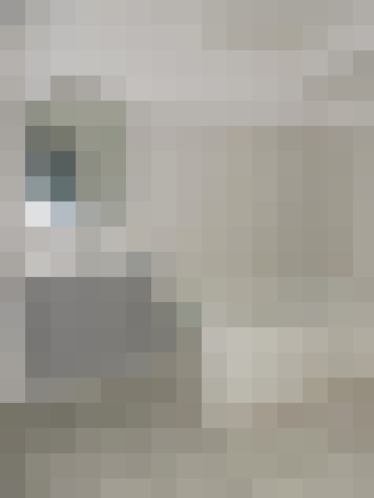  / #8