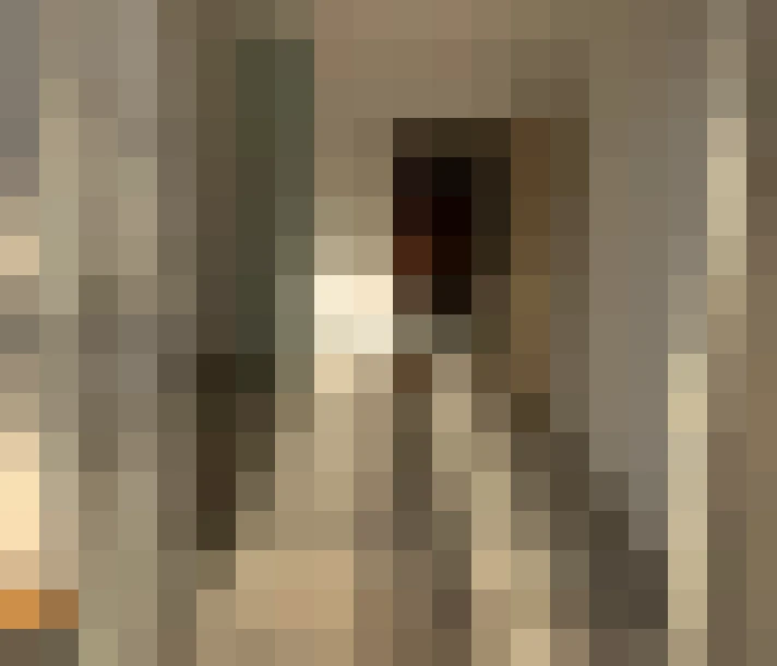  / #14