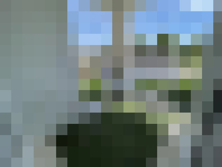  / #7