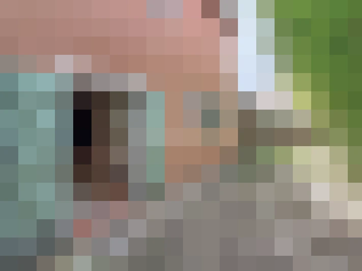  / #15