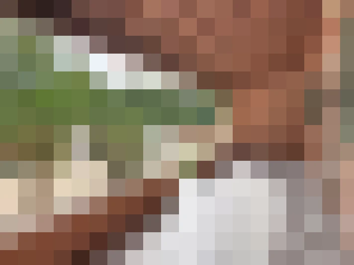  / #18