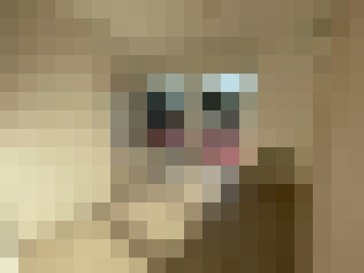  / #2