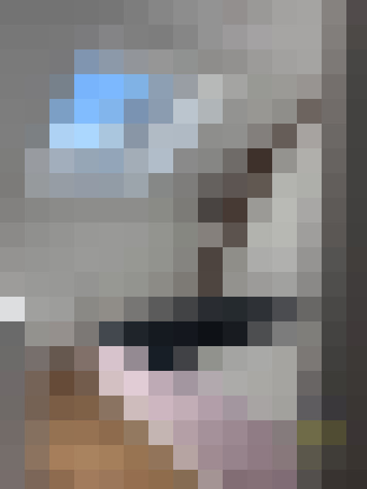  / #6