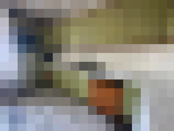  / #7