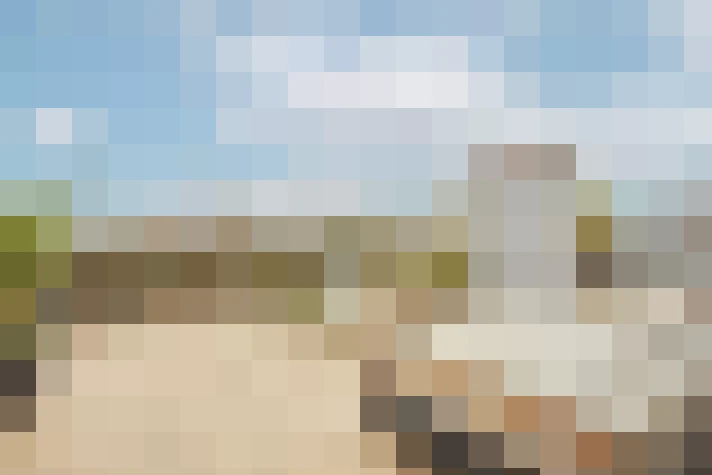  / #61