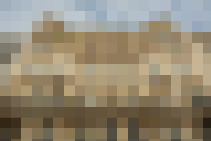  / #64