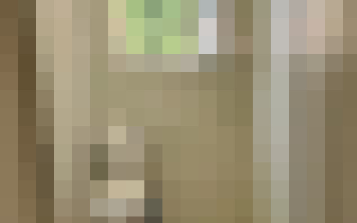  / #14