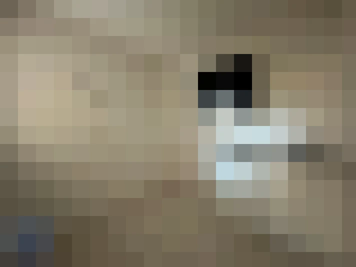  / #8