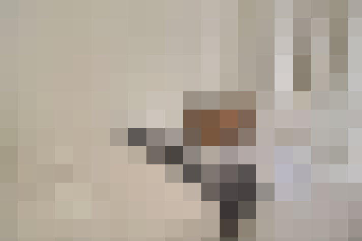  / #6